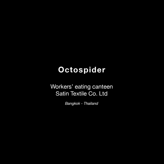 octospider text